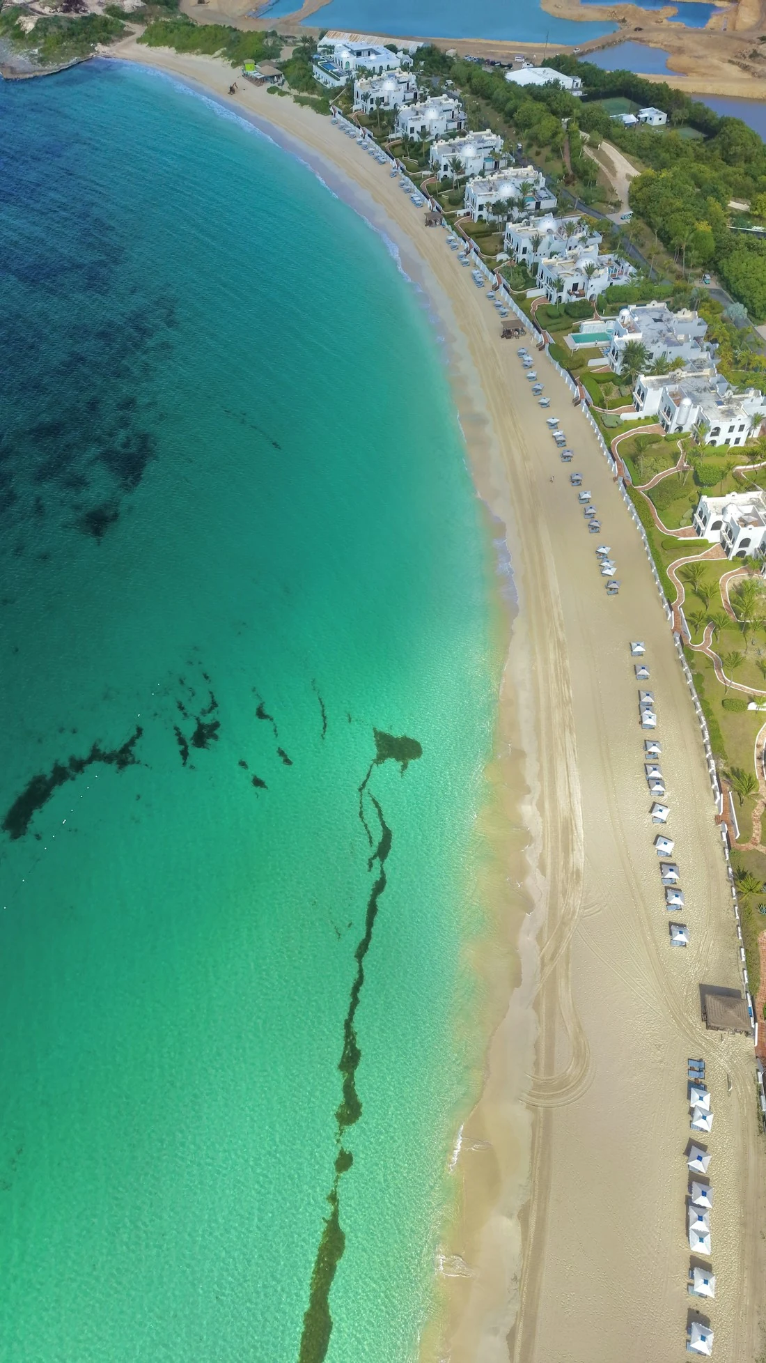 Caribbean coastline with turquoise water, greenery, and coastal communities